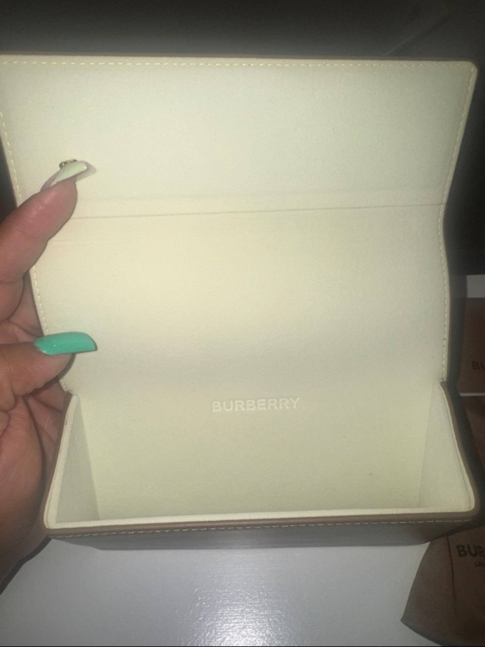 Burberry Beige and Black Striped Sunglass Arm with Plaid Accent - Picture 9 of 9